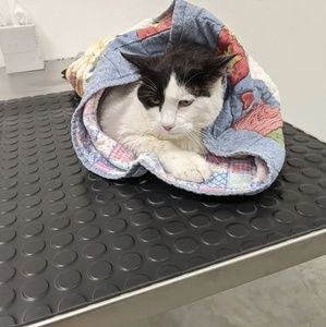 Meet your Posher, Cory